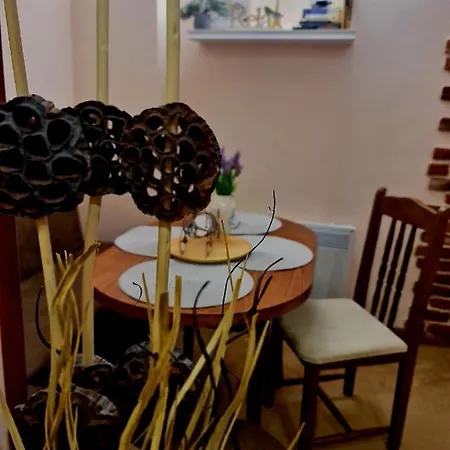 Snow Line Sls بانسكو